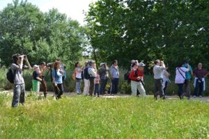 Sortida Els ocells de Gallecs a la primavera. Curiositats de Gallecs i les seves aus, guia Xesco Macià, coordinador de la secció de Patrimoni Natural del CREM