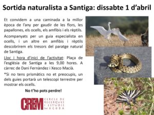 Díptic de la Sortida naturalista a Santiga 
